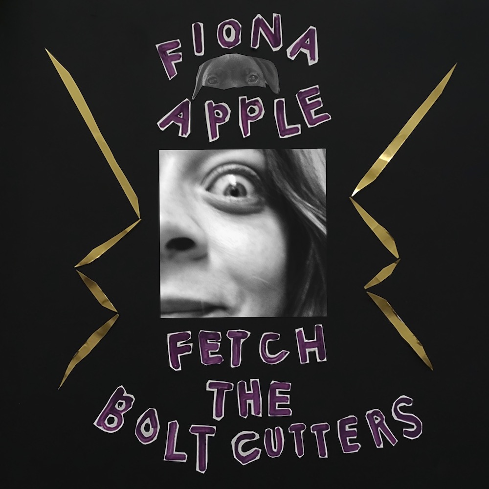 fiona apple album cover